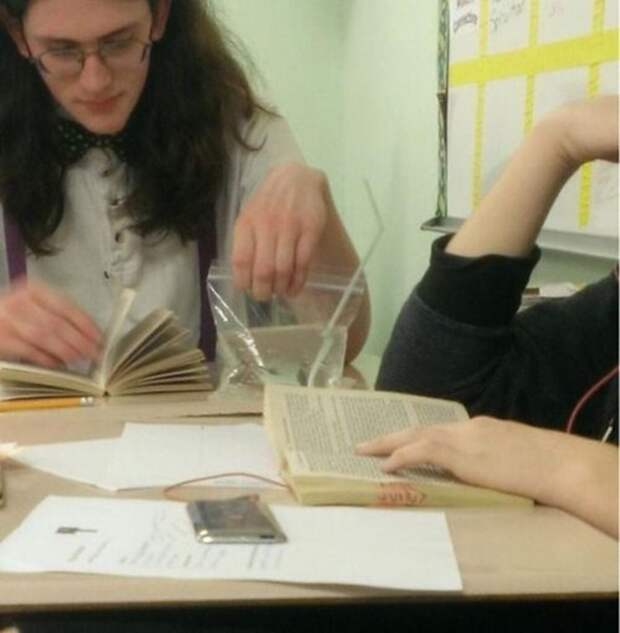 смешные, необъяснимые, фотографии,