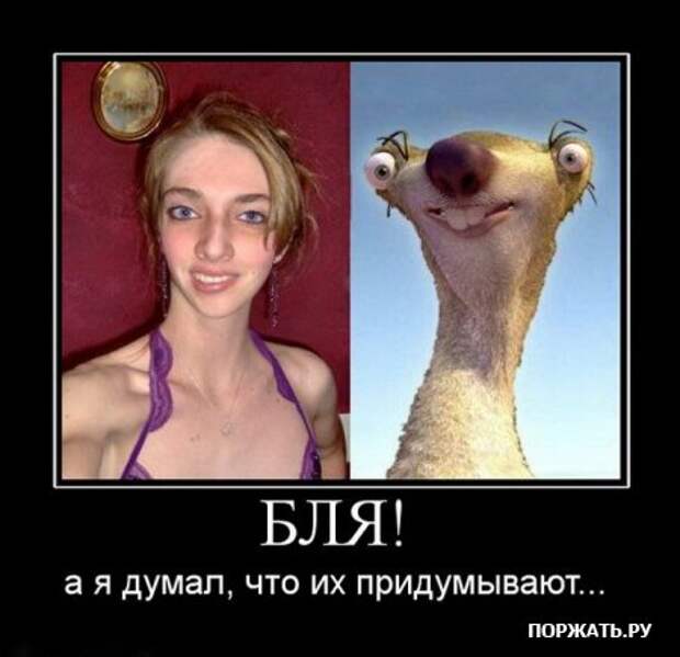 В продолжении демотиваторы
