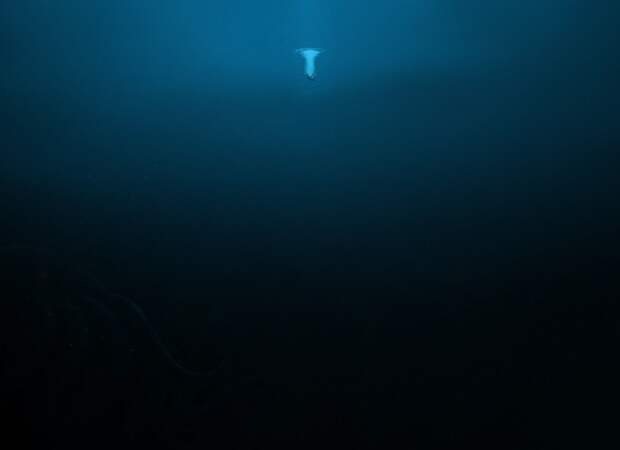 20 фото, доказывающих, что морские глубины — самое страшное место на Земле