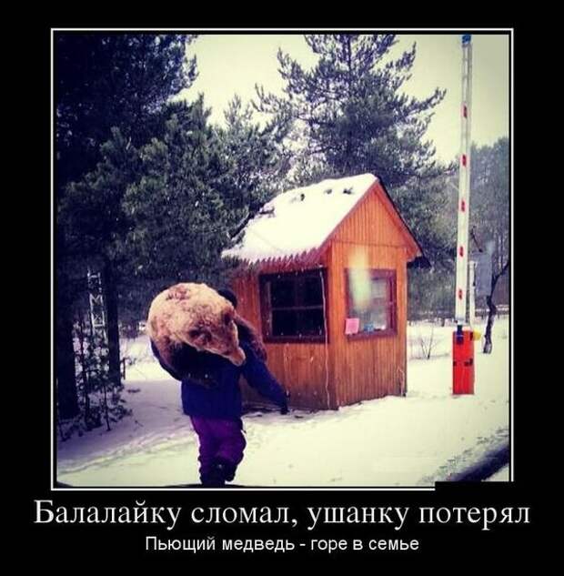 Демотиваторы демотиваторы, картинки, приколы