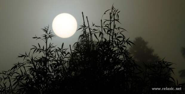 october_003 october_003