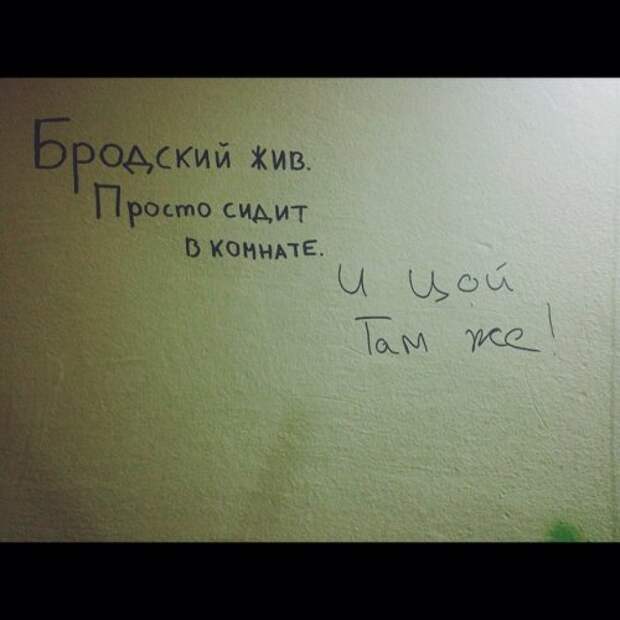 Смешные объявления и надписи в подъездах (20 фото)