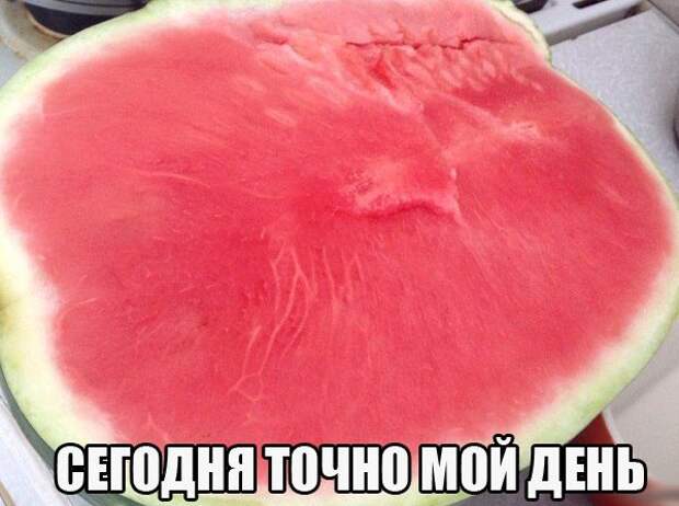 Фразы в картинках. Классные приколы!