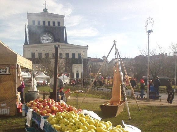 Фото ИА «Росбалт»