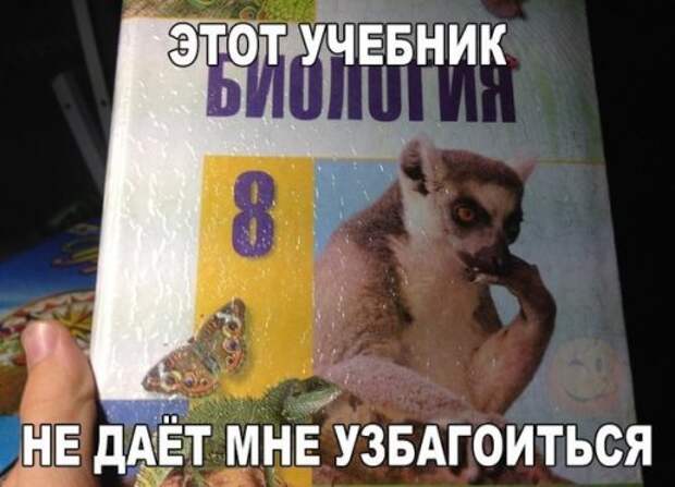 Прикольные фотомемы для хорошего настроения (28 фото)