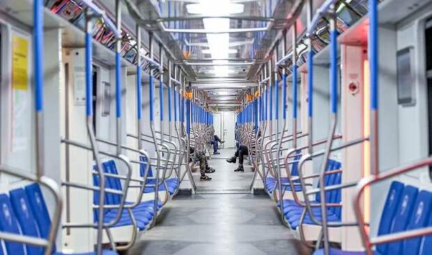 Поезда «Москва» сконструированы с учетом потребностей маломобильных пассажиров/ mos.ru