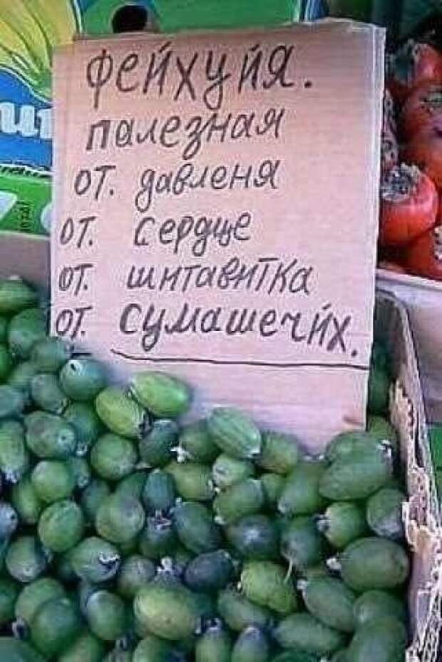 Забавные надписи и объявления Забавные надписи и объявления