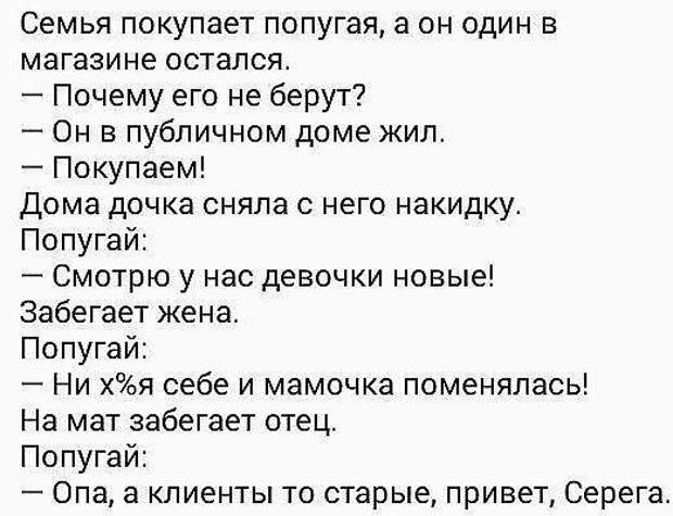Картинки, юмор, приколы