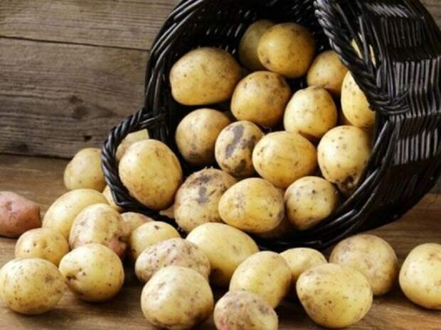 Картошка. \ Фото: pinterest.com. Картошка. \ Фото: pinterest.com.