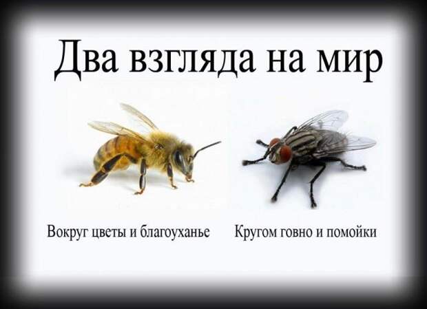 Да валите уже!