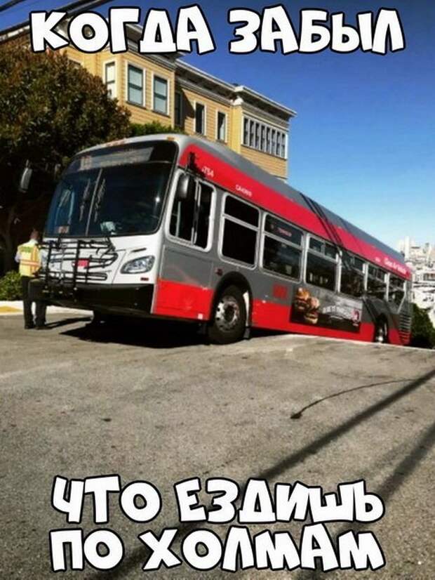 Автомобильный юмор легкий вечерний (30 фото)