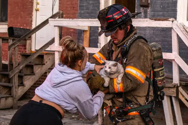 Котики, спасенные во время пожара: 20 трогательных фотоисторий