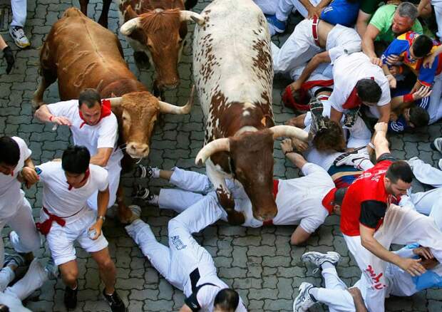 Зачем люди в Испании бегают от быков: история праздника Сан-Фермин в Памплоне