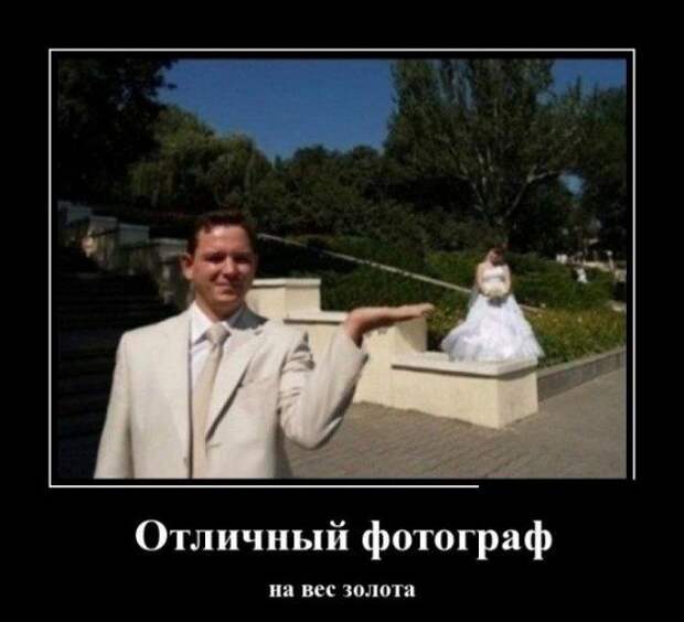 Приколы и позитив в фотках и картинках