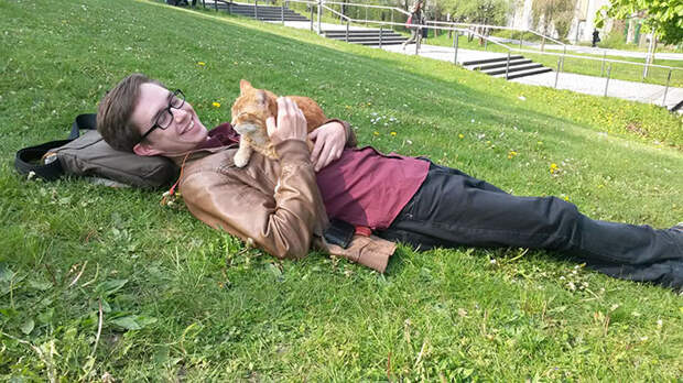 campus-cat-university-cuddles-augsburg-germany-9