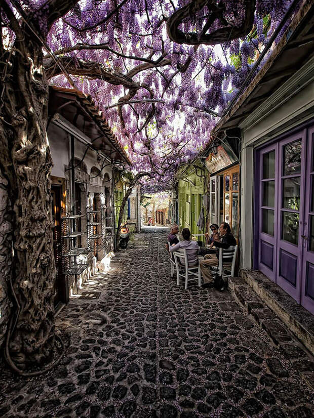 Cамые волшебные улицы в тени цветов и деревьев