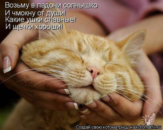 Мысли вслух :)