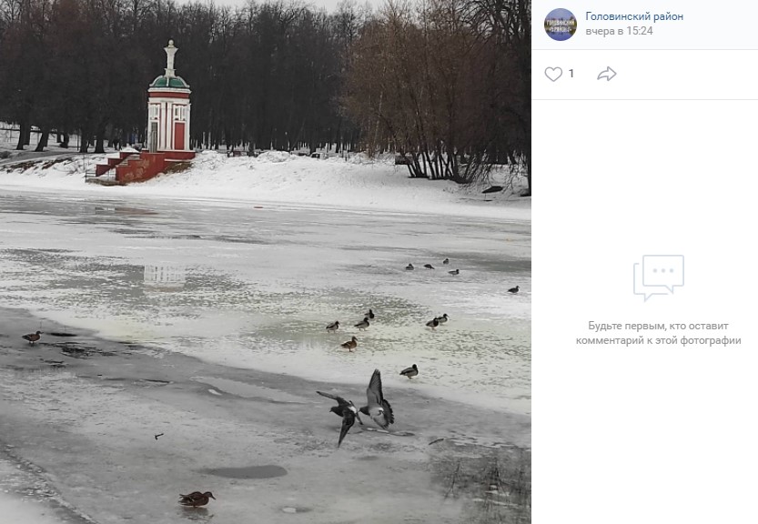 Фото дня: весна отвоевывает Головинские пруды