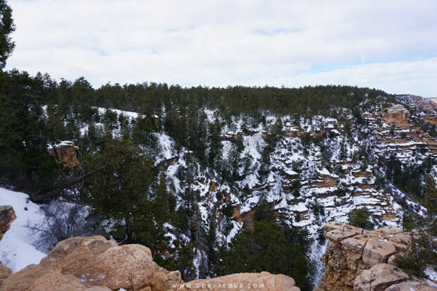 Grand Canyon Arizona 2016-4.jpg