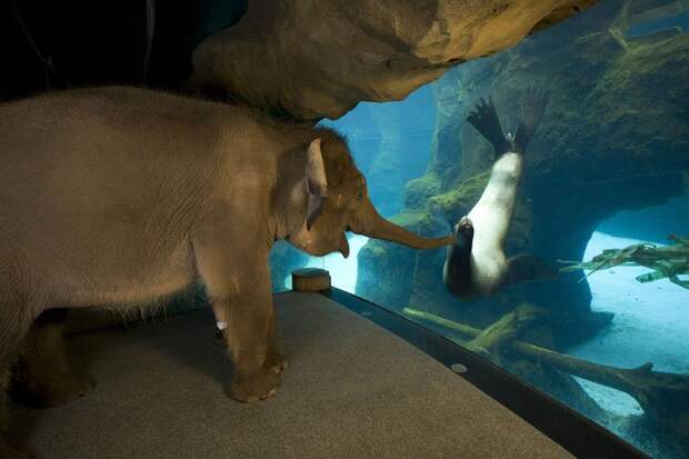 Amazing-Photos22
