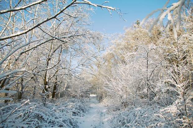Walking in the snow in the Netherlands