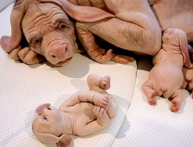 http://turoboz.ru/cmsdb/article_images/images/Young-Family-By-Patricia-Piccinini-3.png