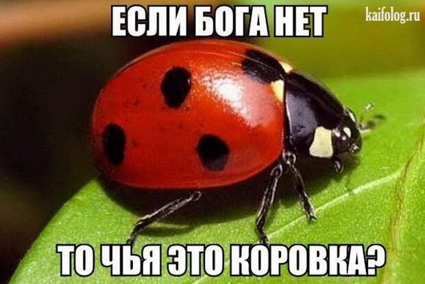 Философские открытки (40 картинок) Философские открытки (40 картинок)
