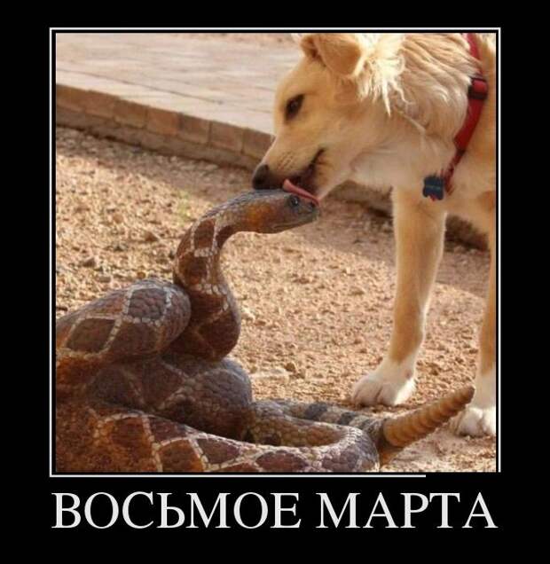 Демотиваторы демотиваторы, прикол, смех, юмор