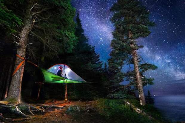 Палатка Tentsile Tree Tents. /Фото: cdn.shopify.com