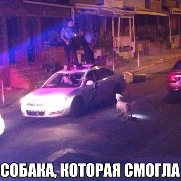 Прикольные фото автомобилей