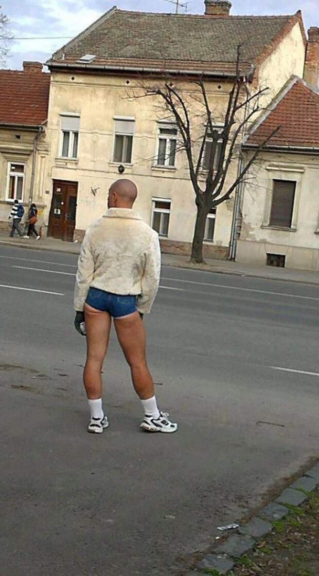 смешные, необъяснимые, фотографии,