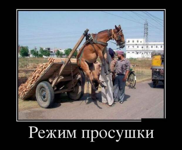 Подборка демотиваторов  демотиватор, юмор