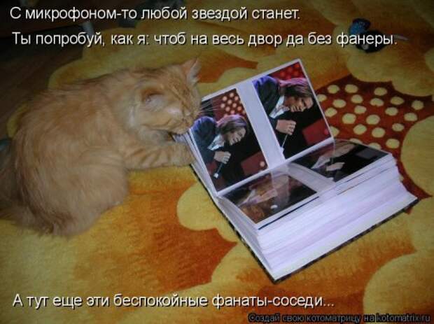 Новая котоматрица (32 фото)