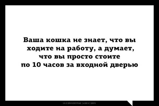 юмор от дзен (26)