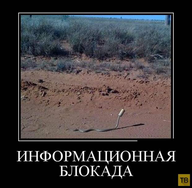 Демотиваторы (30 фото)