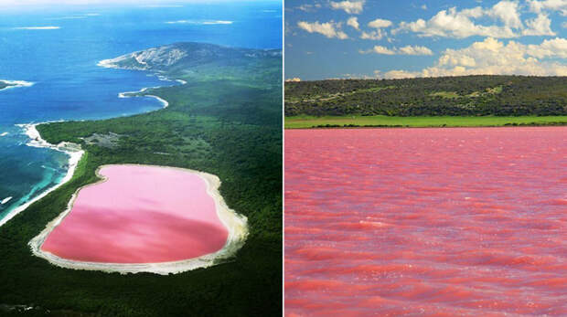nexttriptourism.com