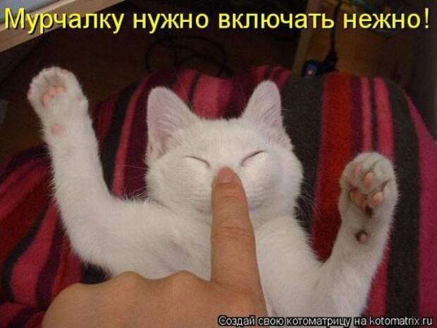 Котоматрица Котоматрица
