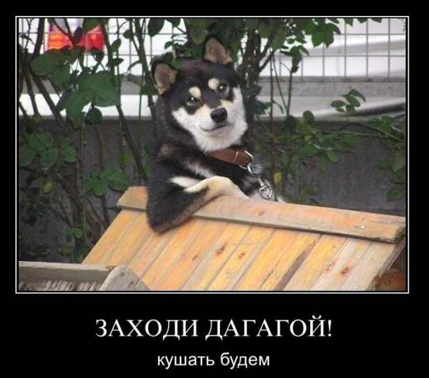 Демотиваторы (50 фото)