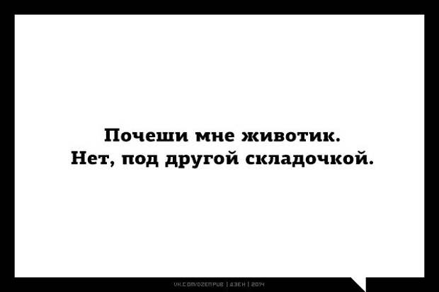юмор от дзен (17)