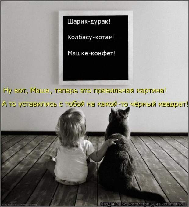 Лучшие котоматрицы недели