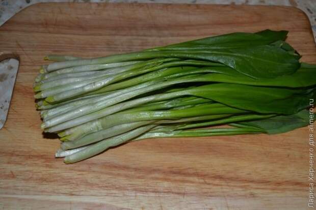 рецепт весенней закуски рецепт весенней закуски