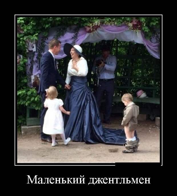 Новые весёлые демотиваторы Новые весёлые демотиваторы