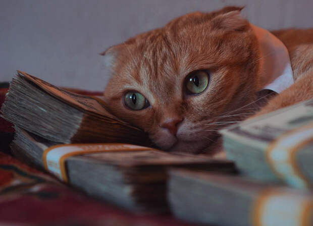 cash-3