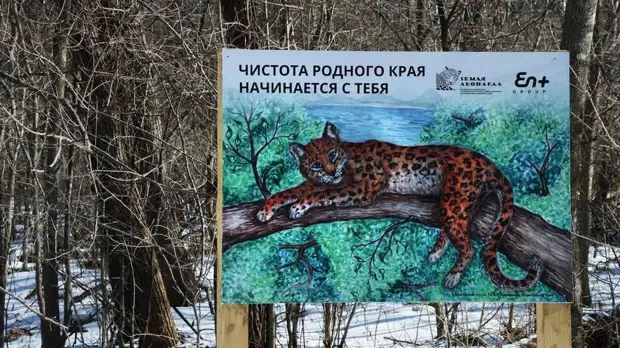 В Приморском нацпарке появился детёныш редчайшего амурского горала