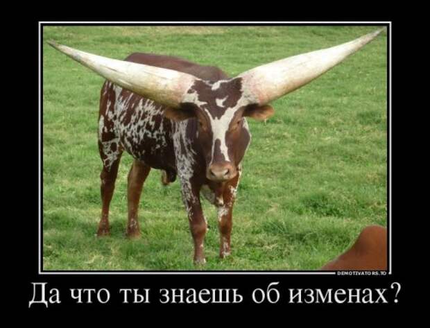 Демотиваторы-приколы для настроения (13 шт)
