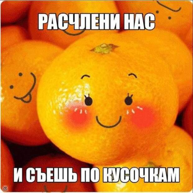 Комичные курьёзы из повседневности 20