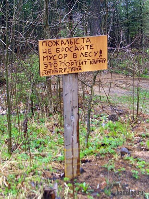 Дачные приколы (55 фото)
