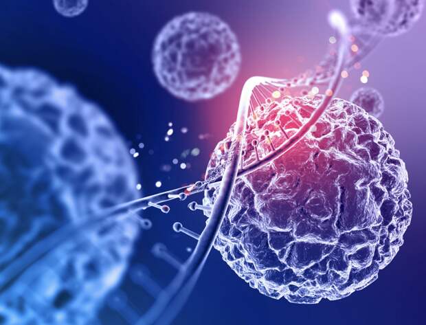 Ученые выяснили, как стресс влияет на риск развития рака