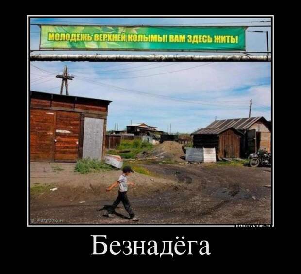 Демотиваторы  демотиваторы, прикол, смех, юмор