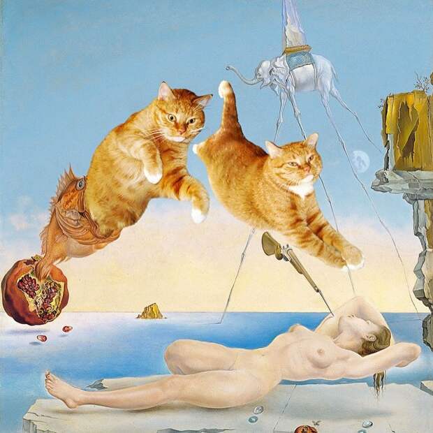 7. Кот Заратустра влиятельные, живут, коты
